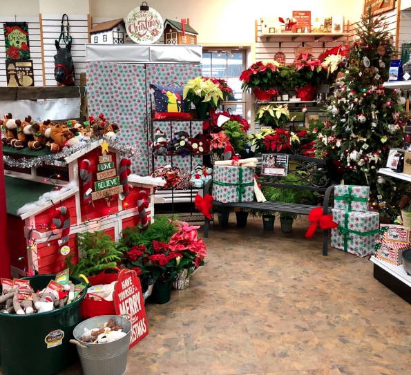 Christmas decorations and pointsettias in the store.