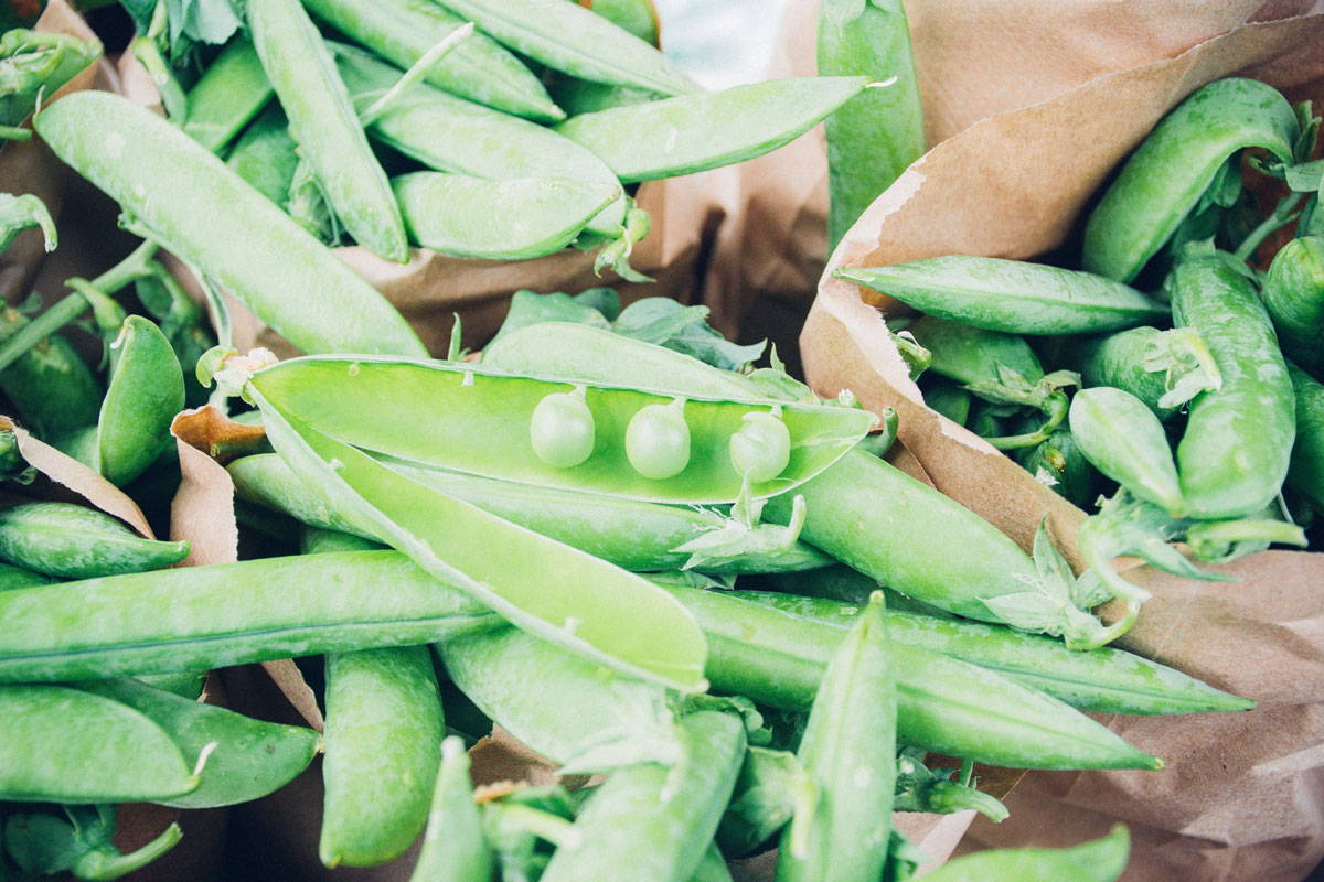 Bags of collected peas, one pod is opened