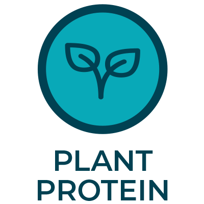 Plant Protein Icon