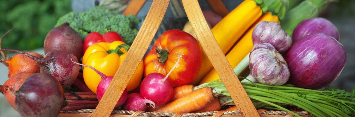 A basket overflowing with colorful garden vegetables