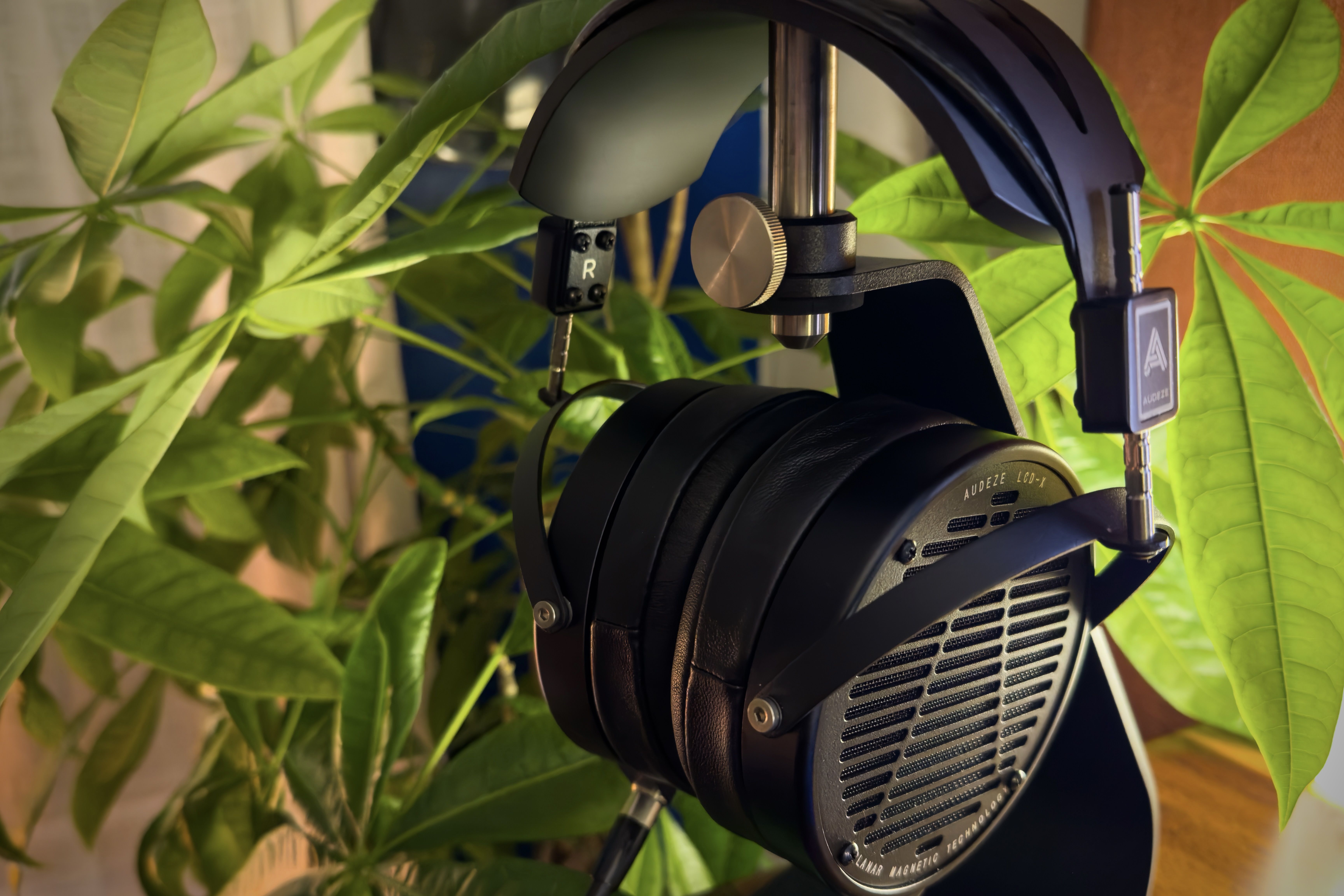 Audeze LCD-X headphones on a headphone stand in some plants