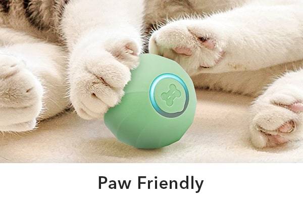 Paw Friendly