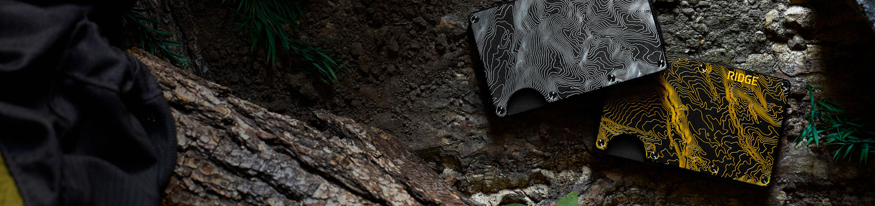 A close-up of textured surfaces and colors in a natural setting.