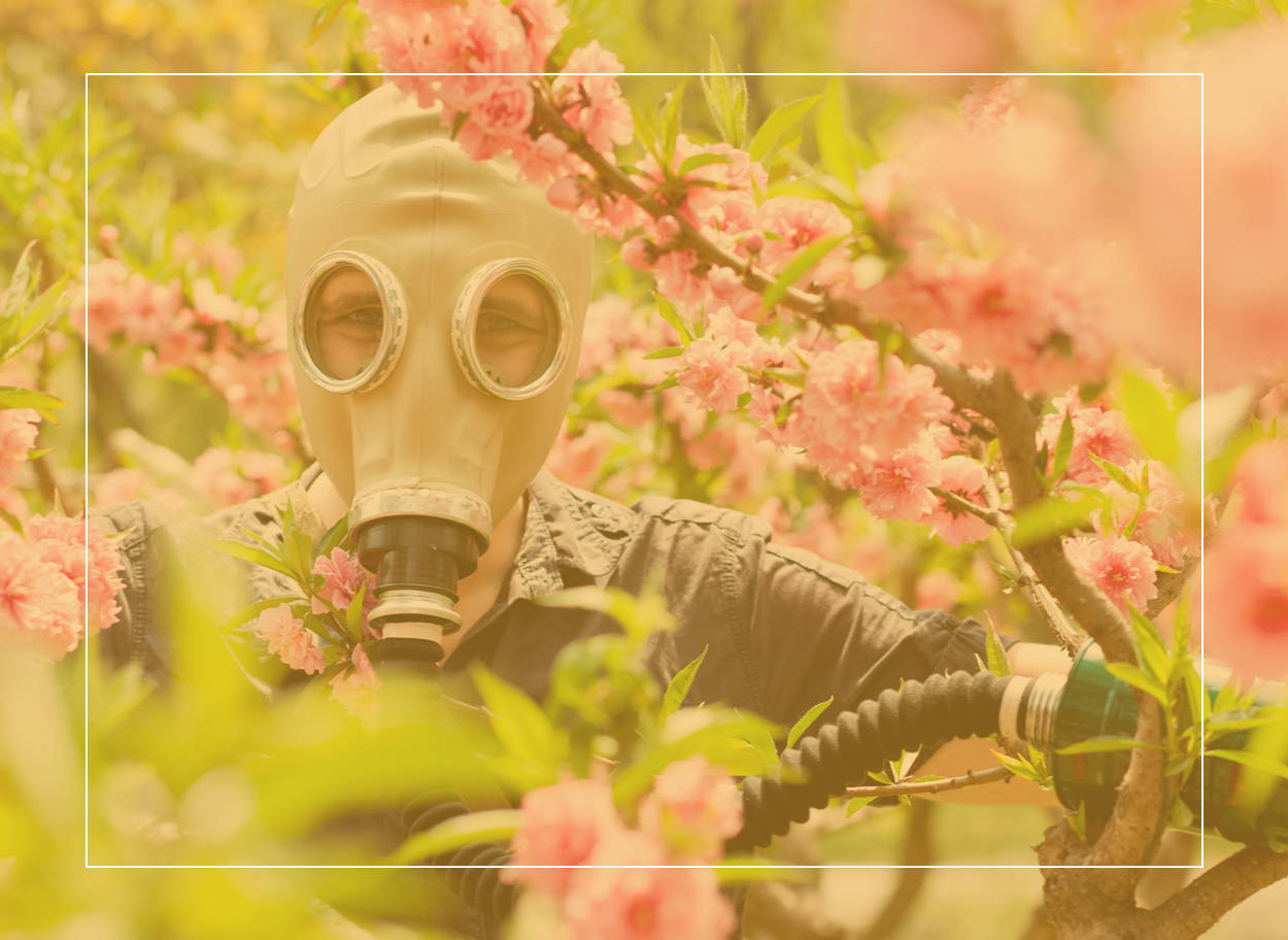 Das Tragen einer Gasmaske ist etwas extrem, aber die Vermeidung von Pollen und Heuschnupfensymptomen kann im Frühjahr eine Herausforderung sein.