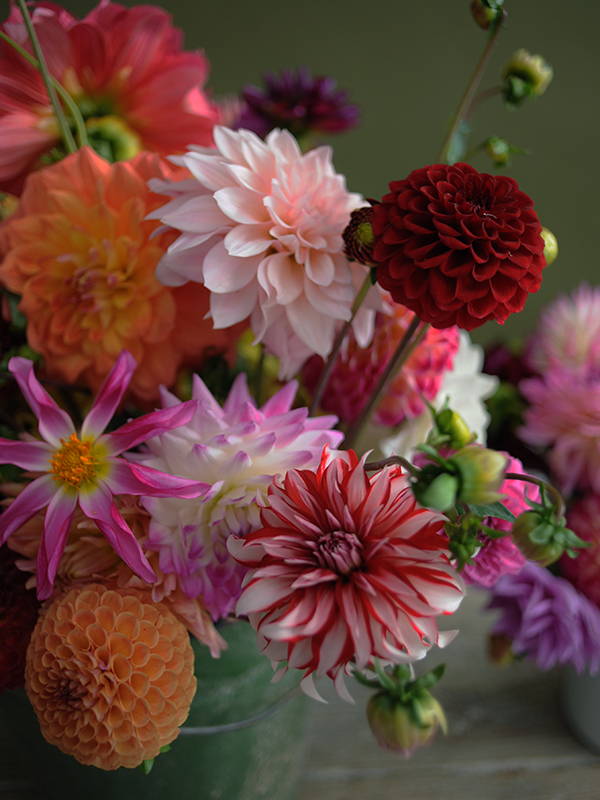 Flower Frog Bowl — Rose Coloured | Flower Shop + Event Florals