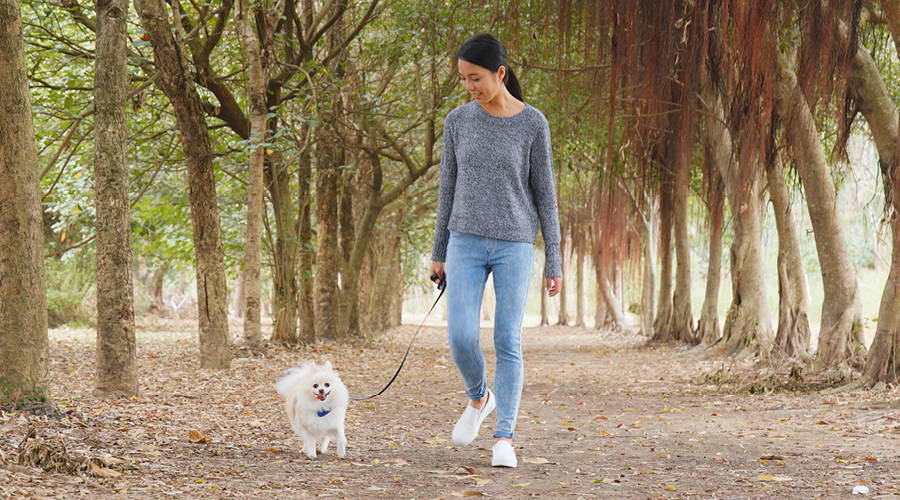 woman walking her dog