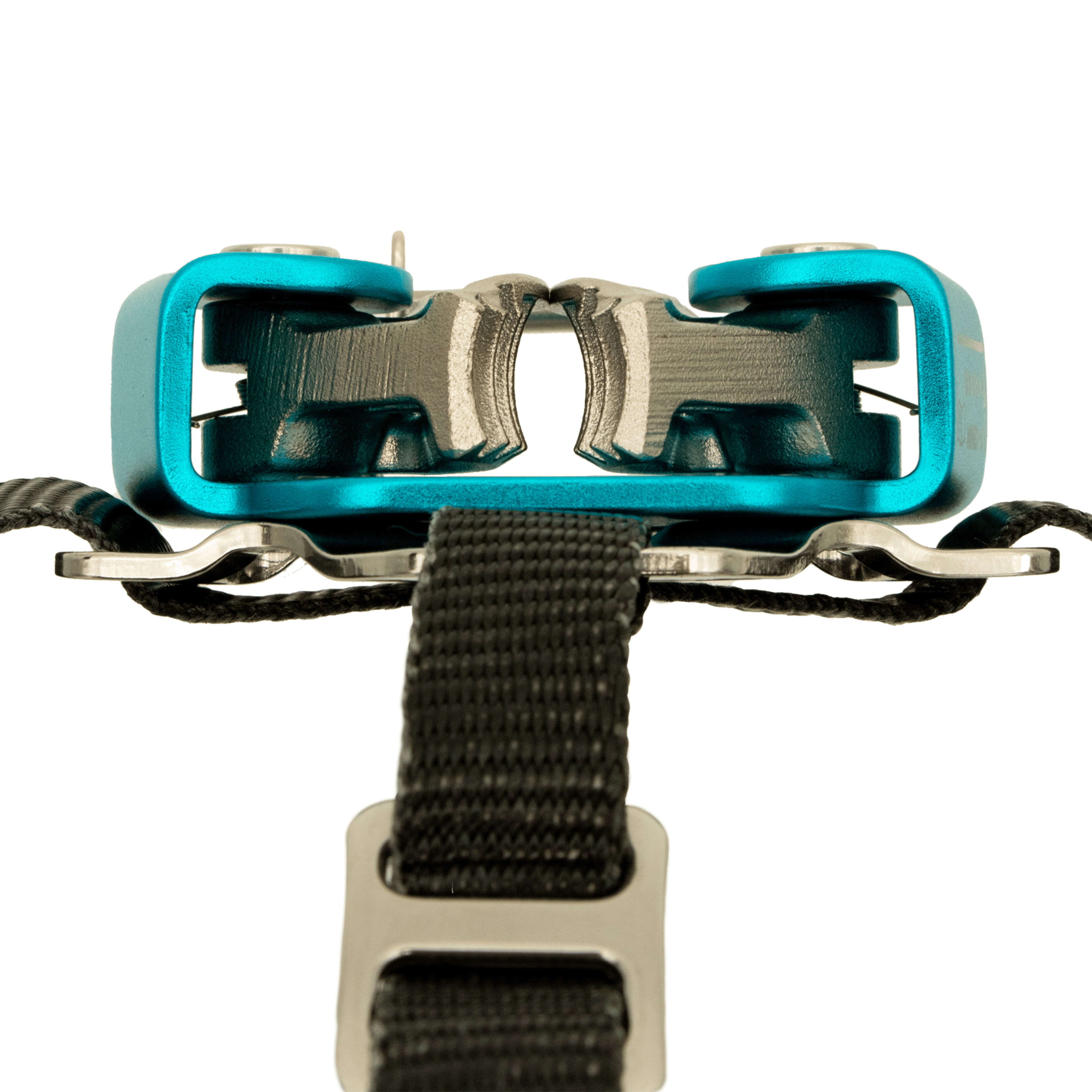 Close-up of a metal buckle with a black strap.