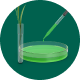 Petri dish with green liquid and pipette, surrounded by test tubes and grass.