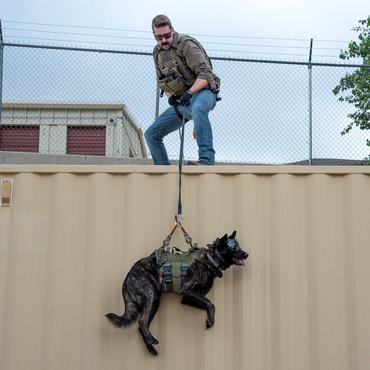 Tactical K9 being lifted