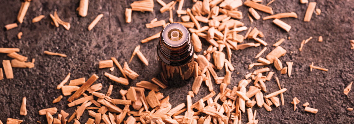 Wood shavings scattered around a wooden piece on a surface.