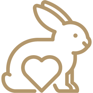 Animal-free Recombinant Antibodies