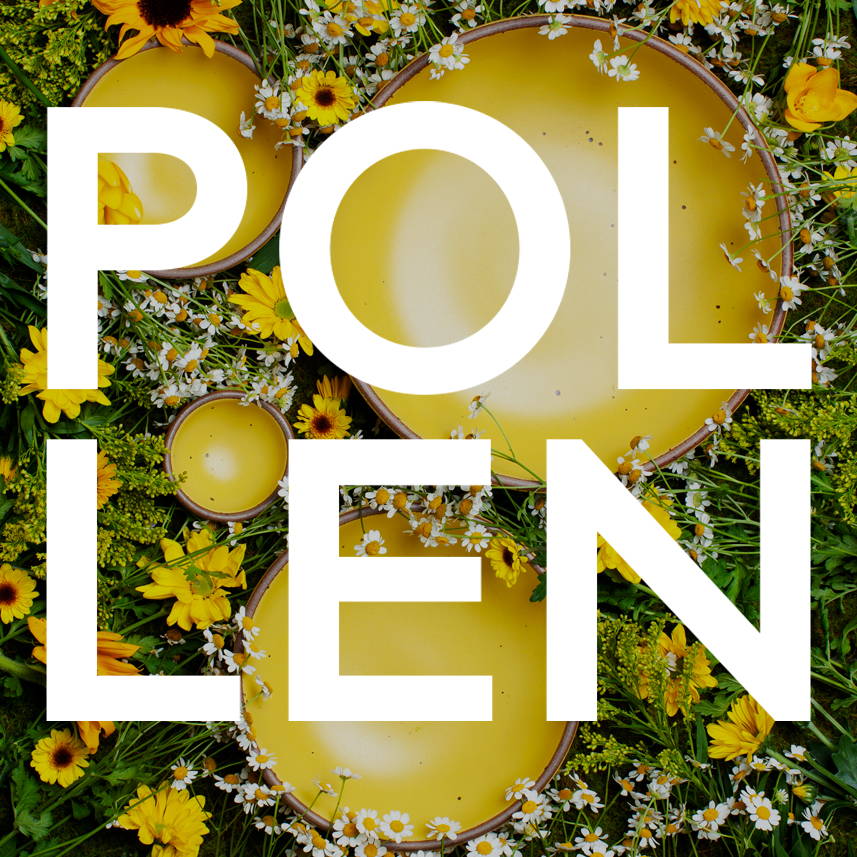 Pollen playlist on East Fork Spotify 