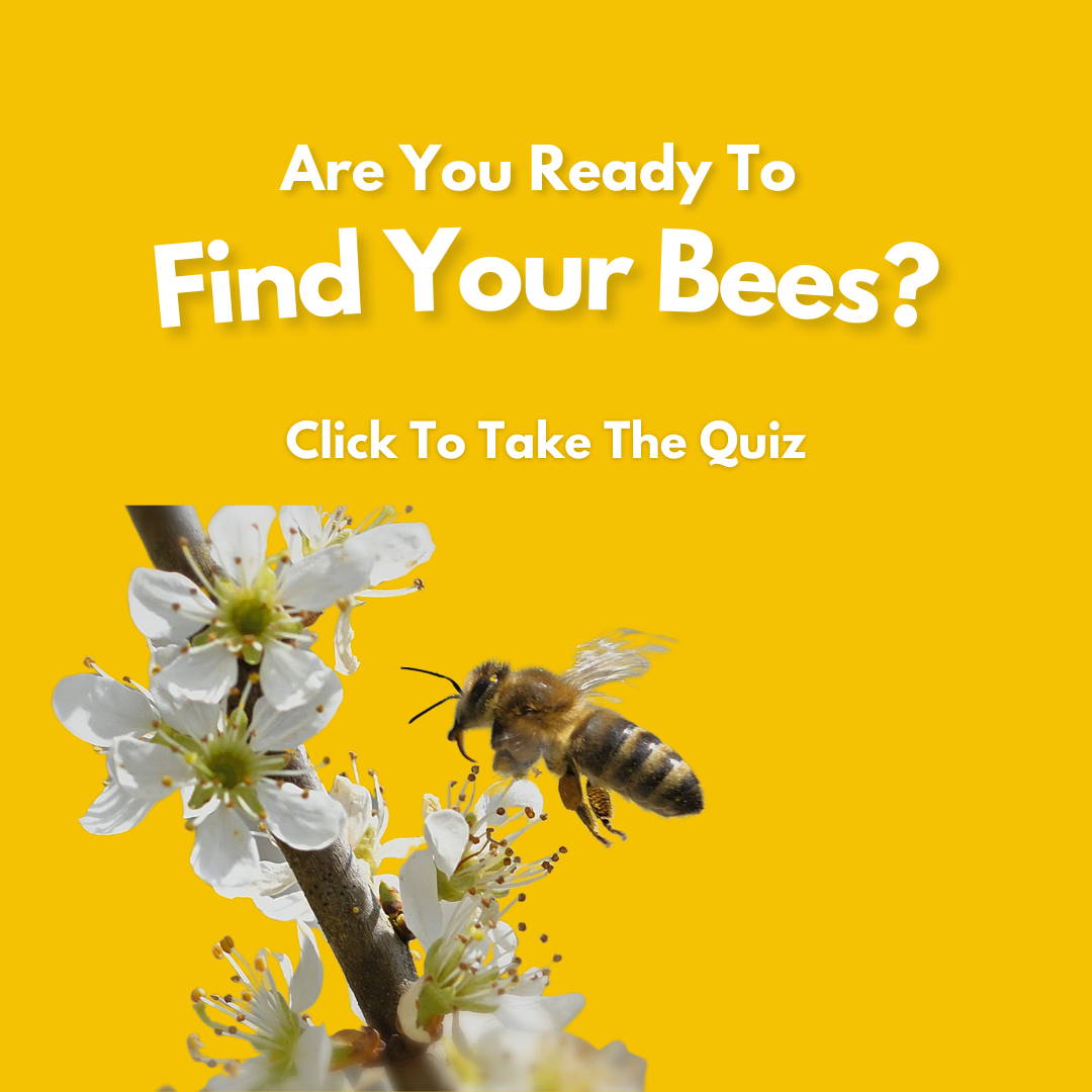 What Bees Are Right For You Quiz