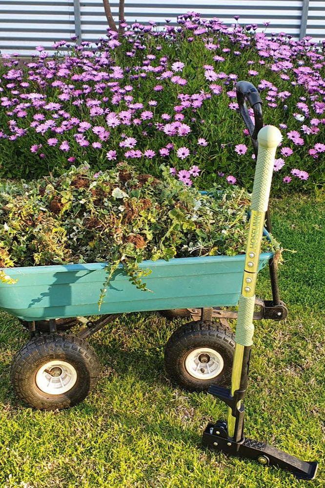 A wheelbarrow filled with garden waste beside blooming flowers.