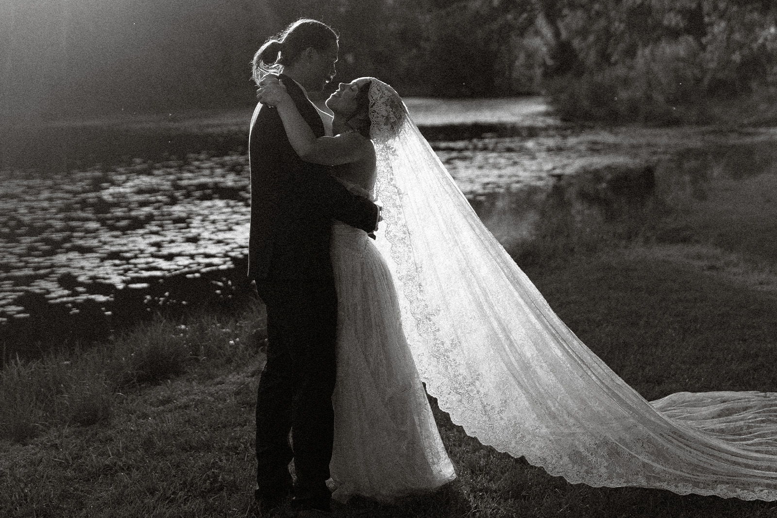 Bride and Groom in an embrace with sunlight trickling through brides lace veil
