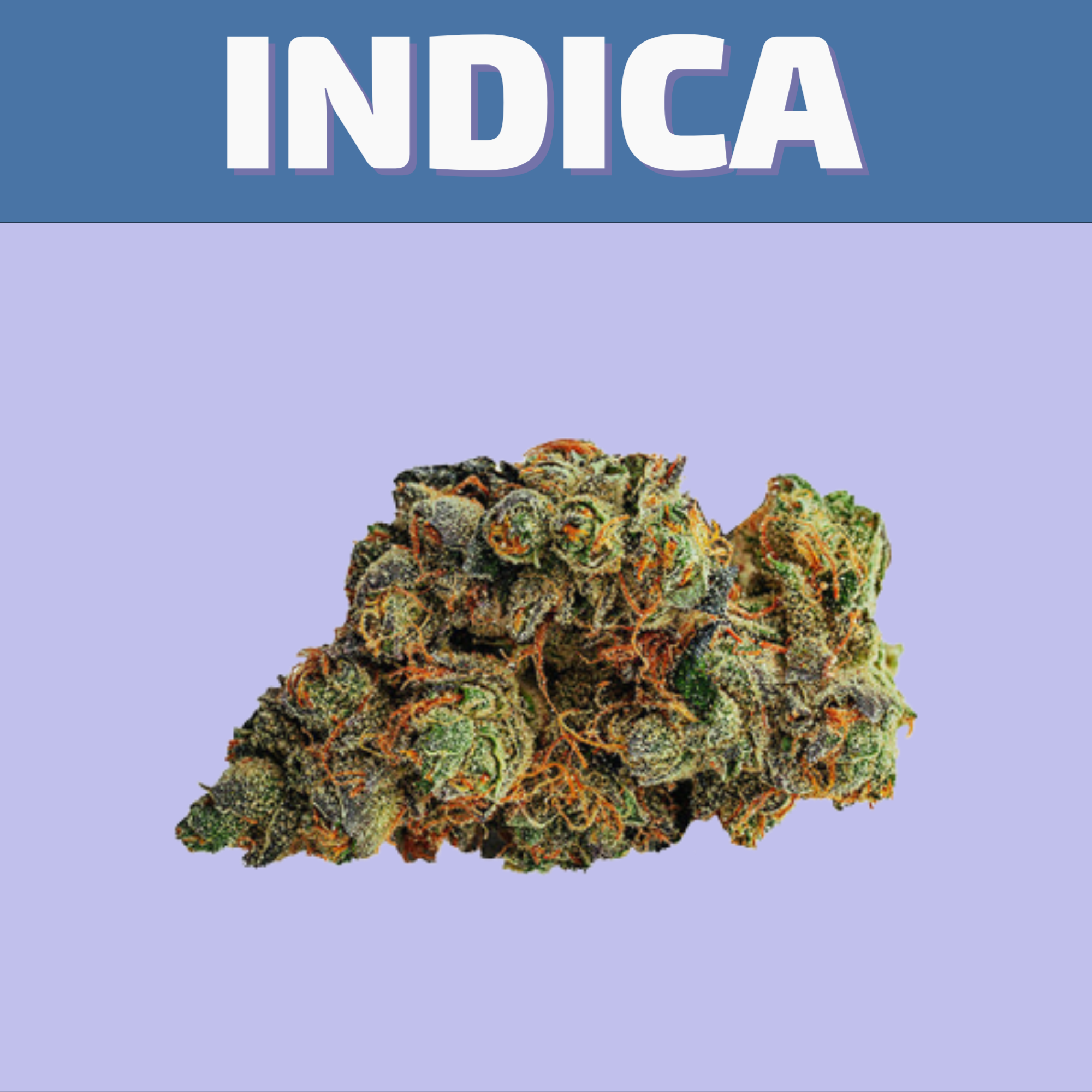 Shop our selection of Indica flower online for same day delivery or buy them at our cannabis store in Winnipeg on 580 Academy Road.