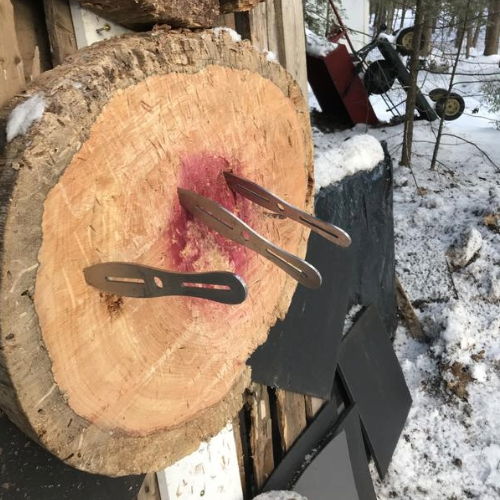 A wooden log with metal knives embedded in it, surrounded by snow.