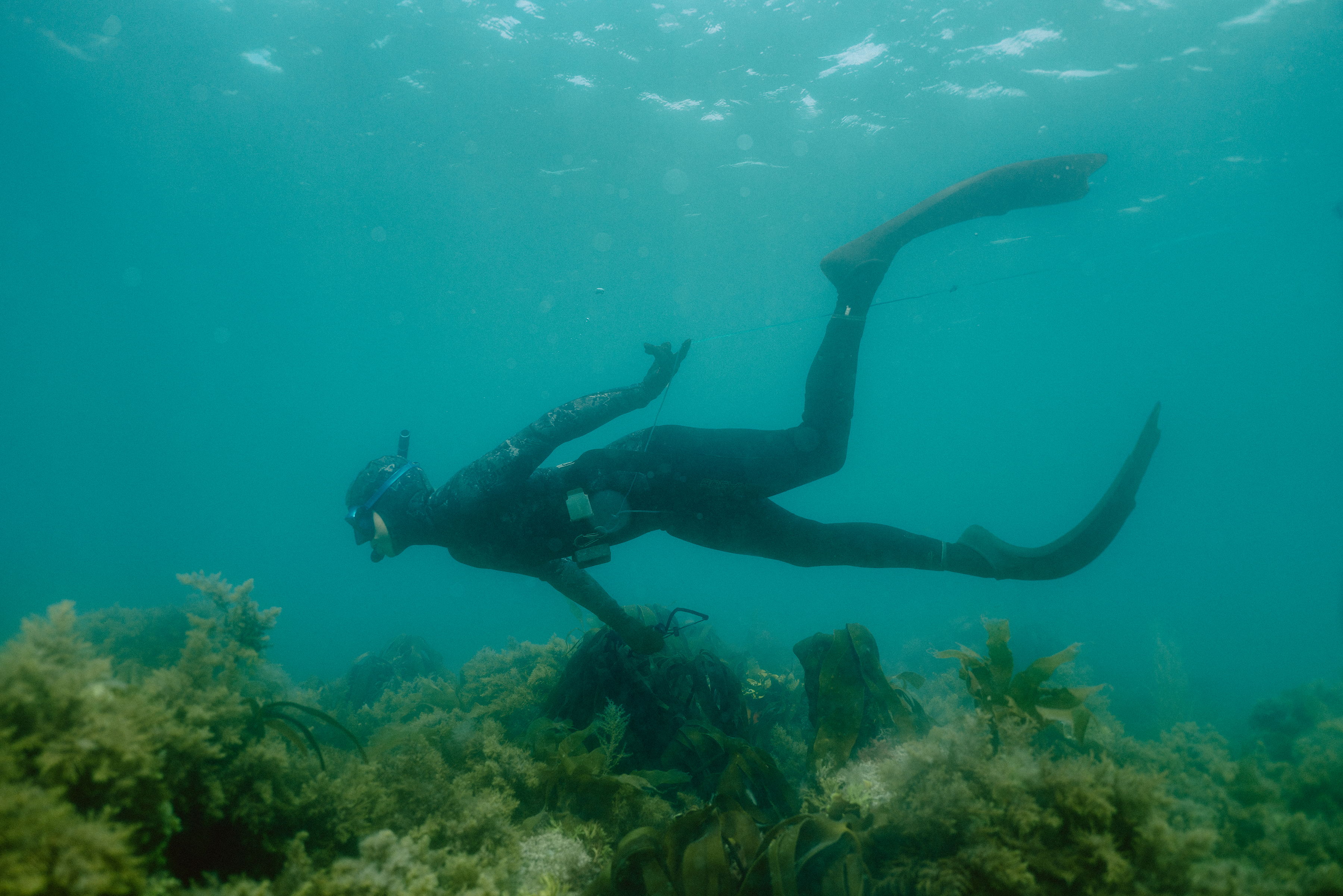 A diver swimming underwater near coral reefs.