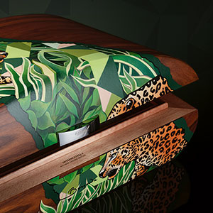 The Davidoff & Boyarde Masterpiece Humidor Instinctively with two cigars placed crosswise in front of it. 