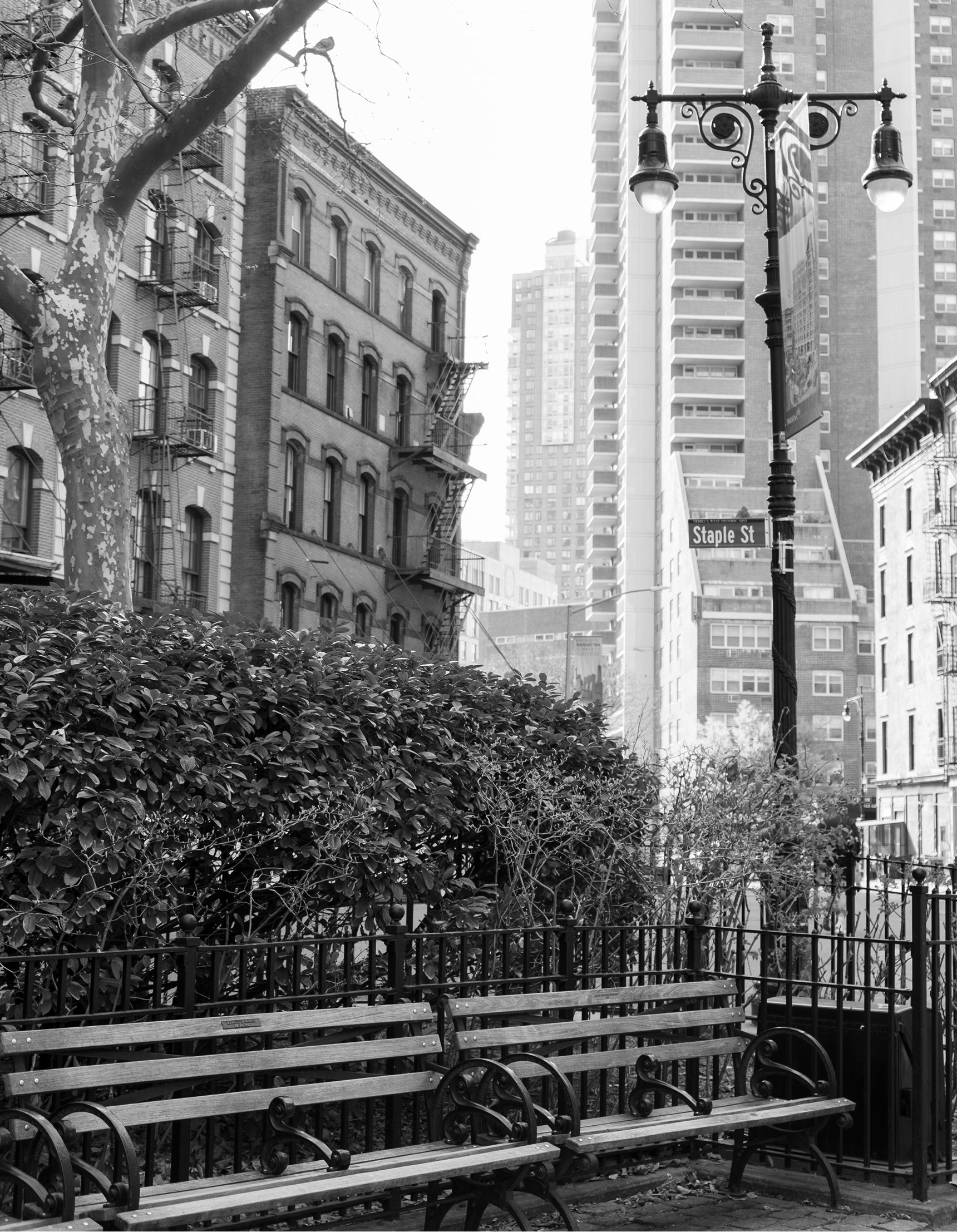 Black and white cityscape featuring buildings, a bench, and streetlights.