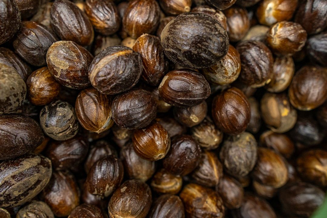 Pile of whole nutmegs with textured shells.