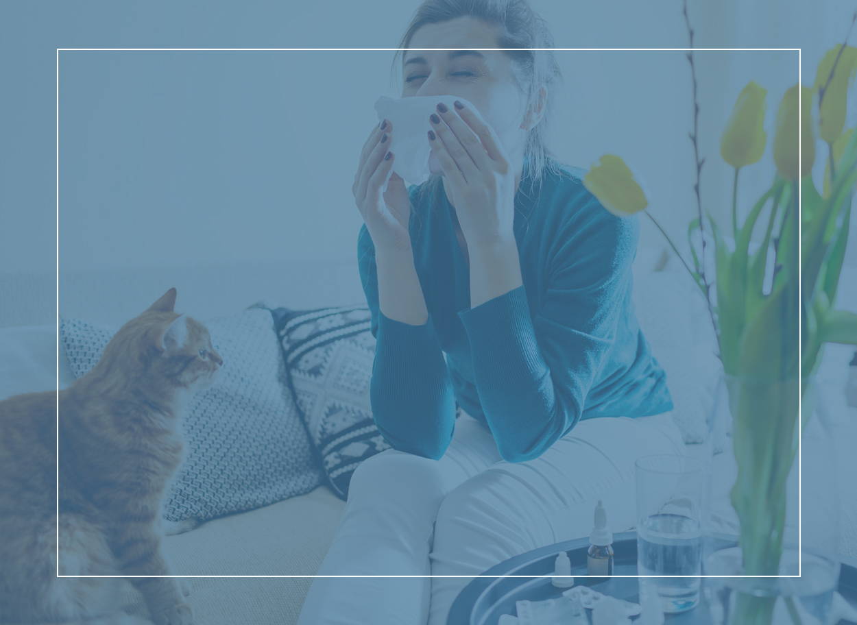 Une jeune femme assise sur un canapé avec un chat roux, avec le nez qui coule et les éternuements typiques causés par les allergies aux chats.
