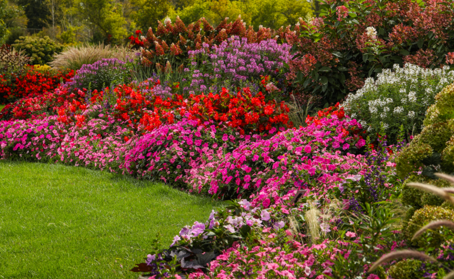 Landscape garden filled with many colorful annuals