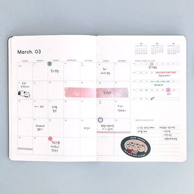 Monthly plan - ICONIC 2020 Brilliant dated weekly planner scheduler