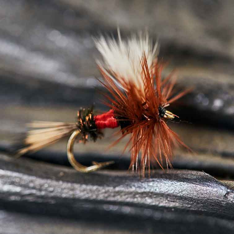 What is a DRY FLY when your Fly Fishing? Find out Here