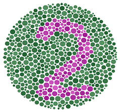 1 Online Color Blind Test – Enchroma