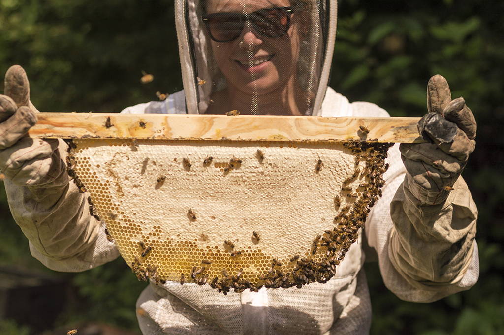 Jennings Apiary