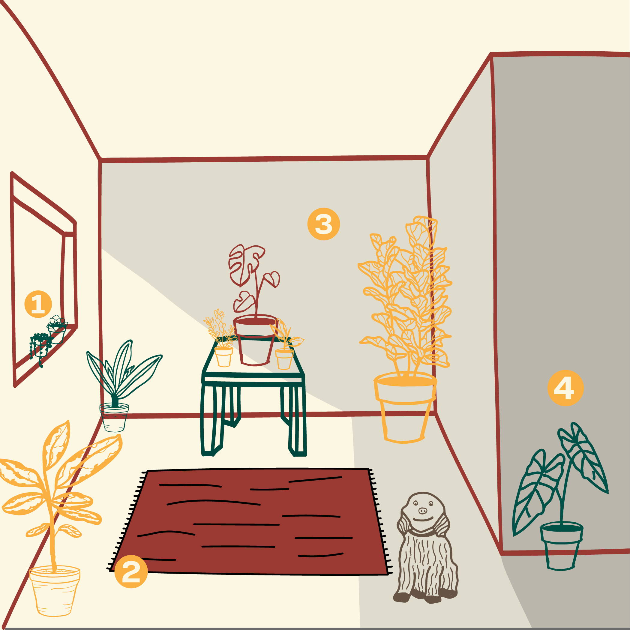 Diagram explaining the different types of light for your Indoor Plants