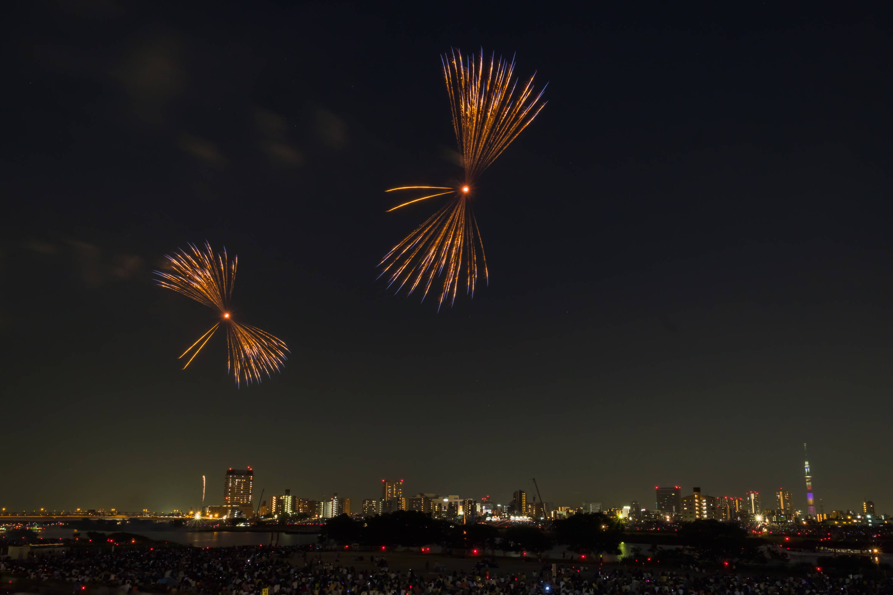 Dragonfly fireworks over Sumida River Tokyo