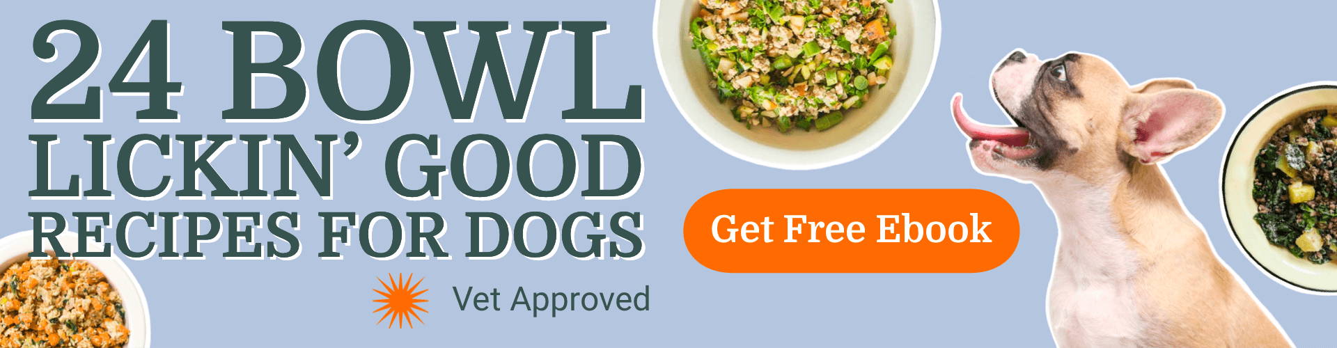 24 free dog food recipes ebook 