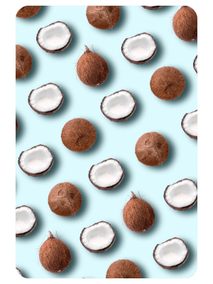 coconut oil as a lubricant blog image with lots of coconuts open scattered across the image 