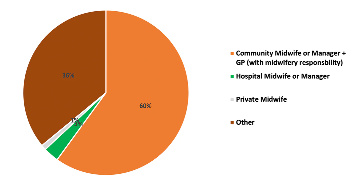 Pie chart showing survey responses categorized by type of healthcare manager.