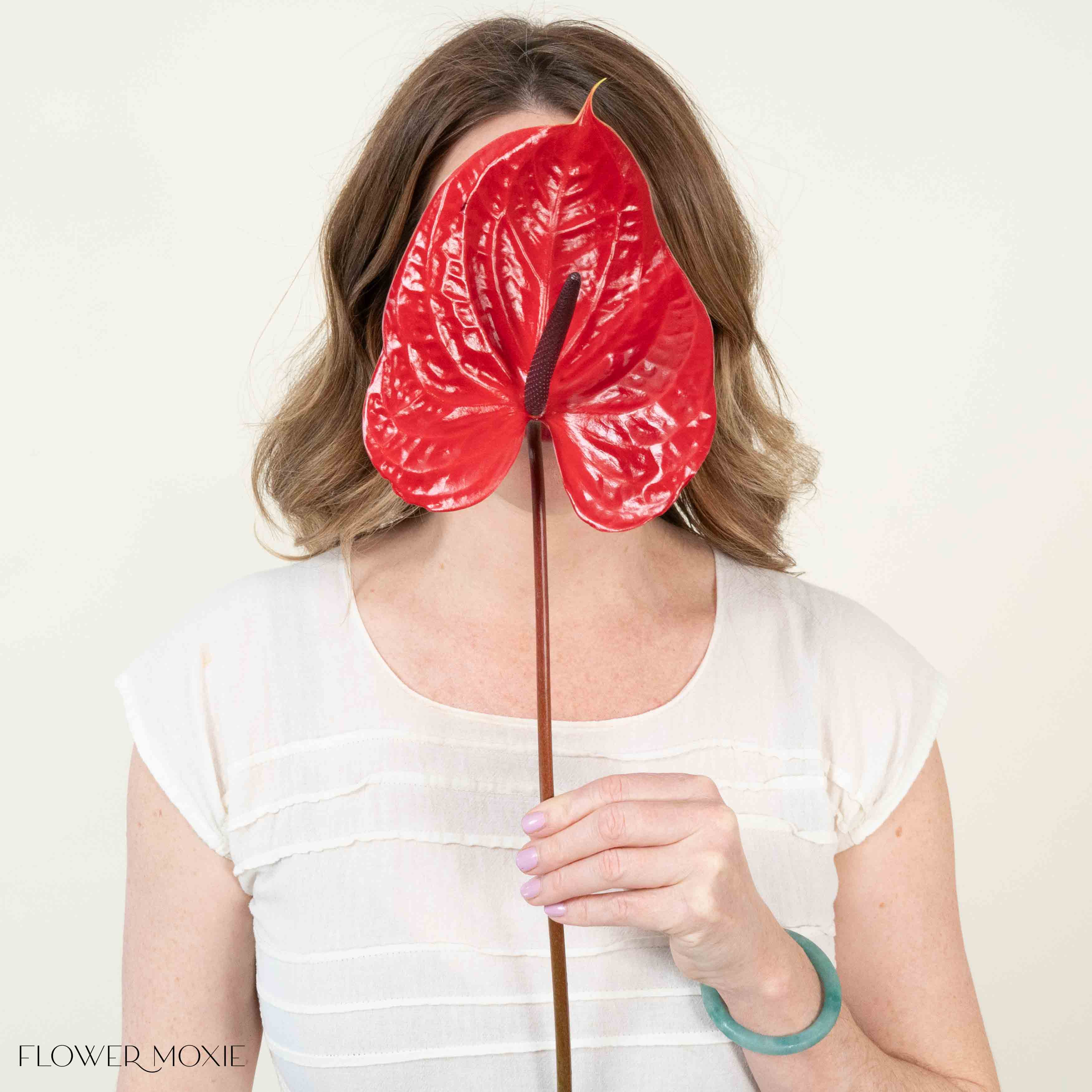 red giant italian anthurium