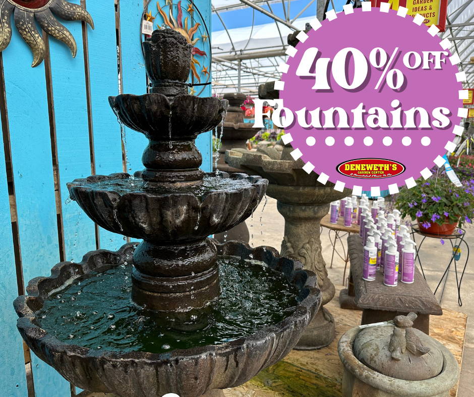 40% off Fountains