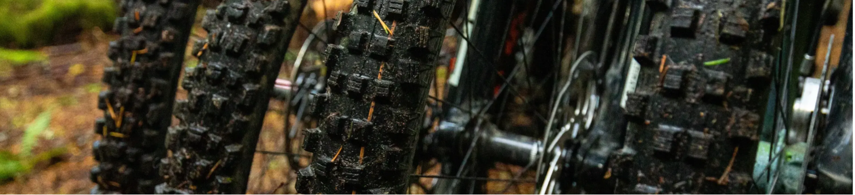 Maxxis and Schwalbe MTB Tires Shorty Magic Mary Assegai front tires