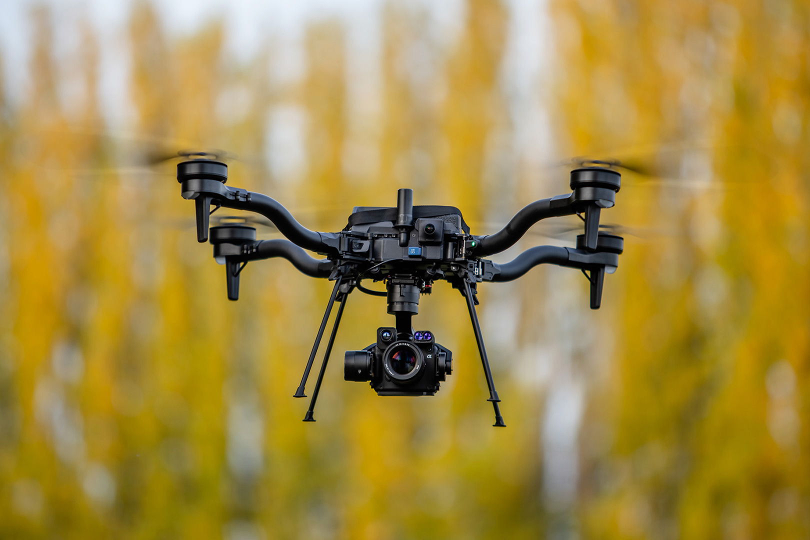 Un drone Freefly Astro volant devant un feuillage jaune.