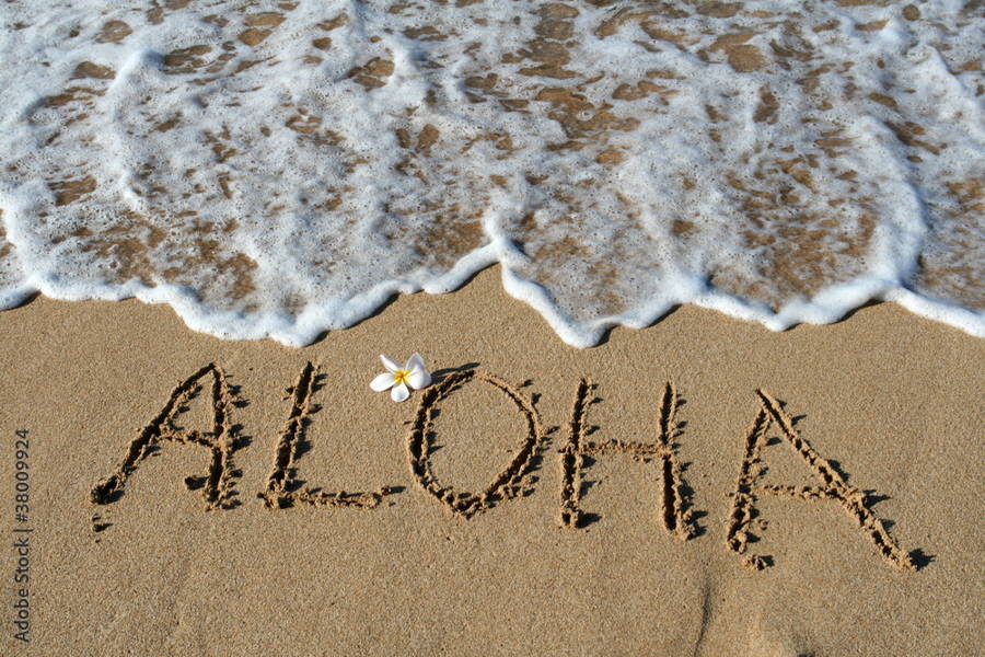 Functional Nutriments - Veterinary in Kihei