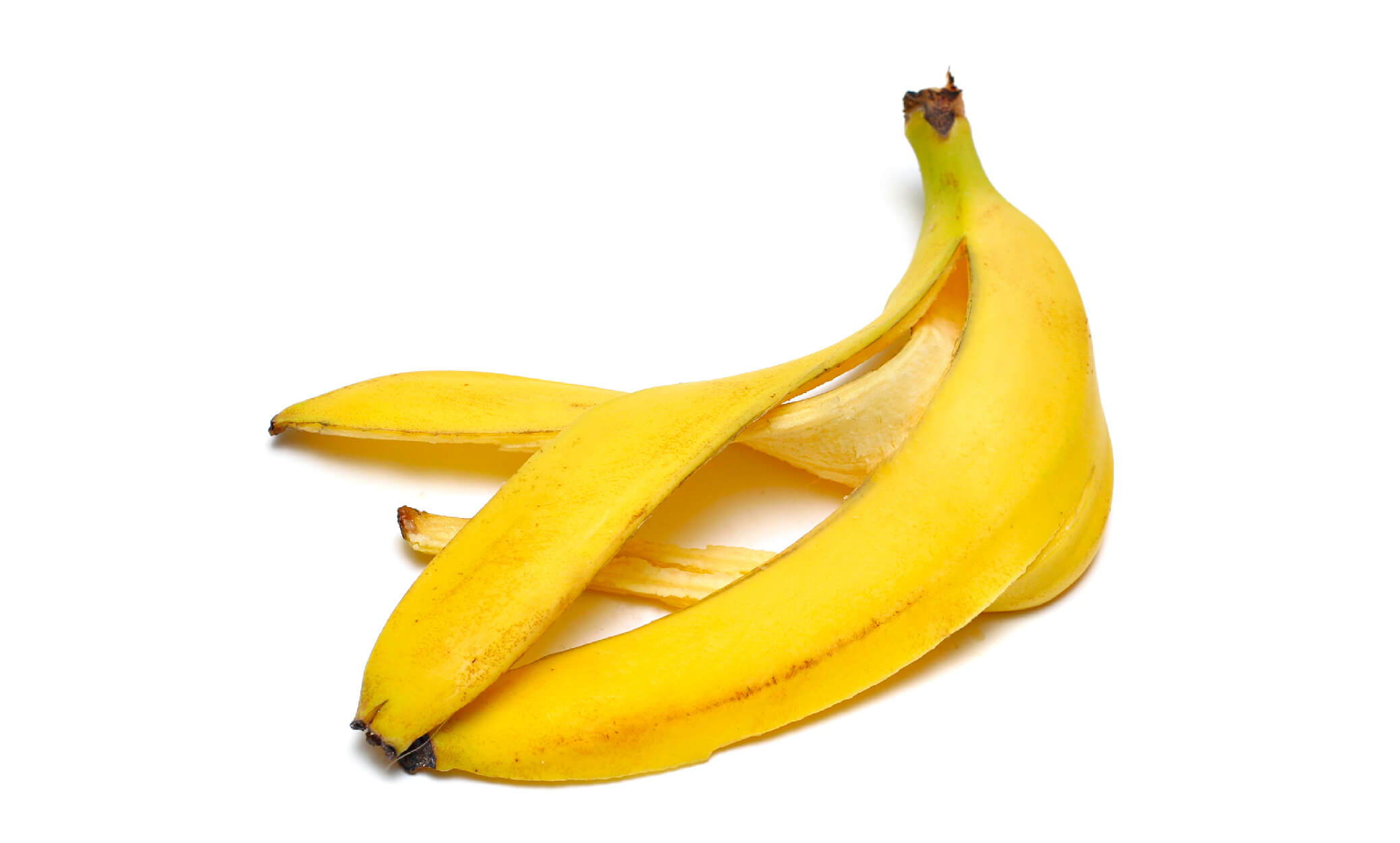 are banana peels good for dogs