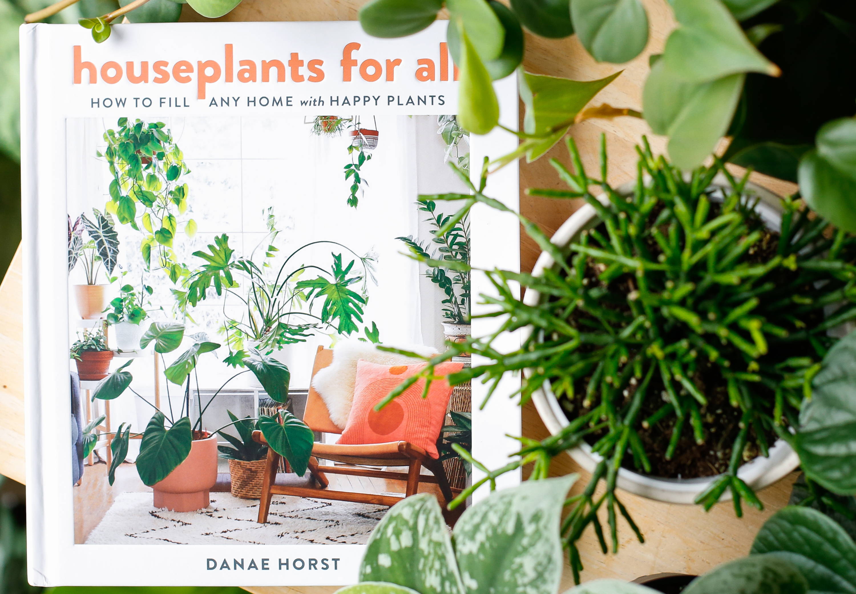 The book Houseplants For All, lying on a table surrounded by plants- viewed from above