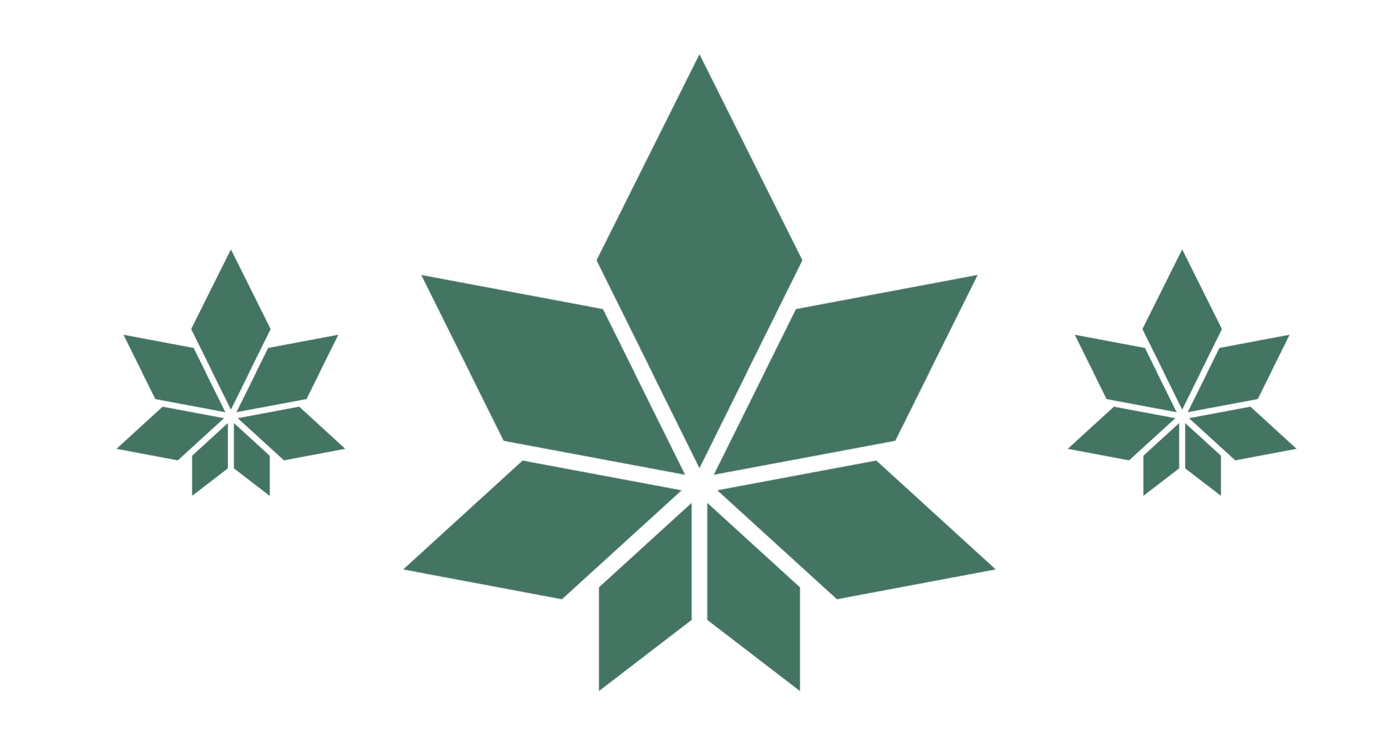 A hemp leaf pattern, WAMA’s logo.