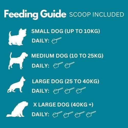 probiotic for dogs feeding guidelines