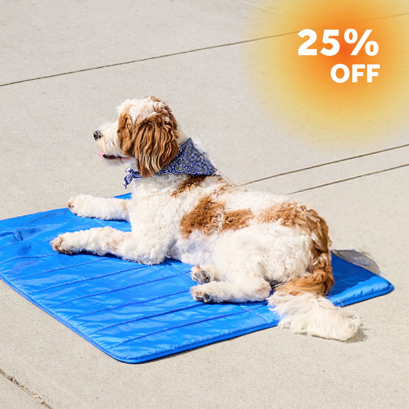 Blue comfort mat with 