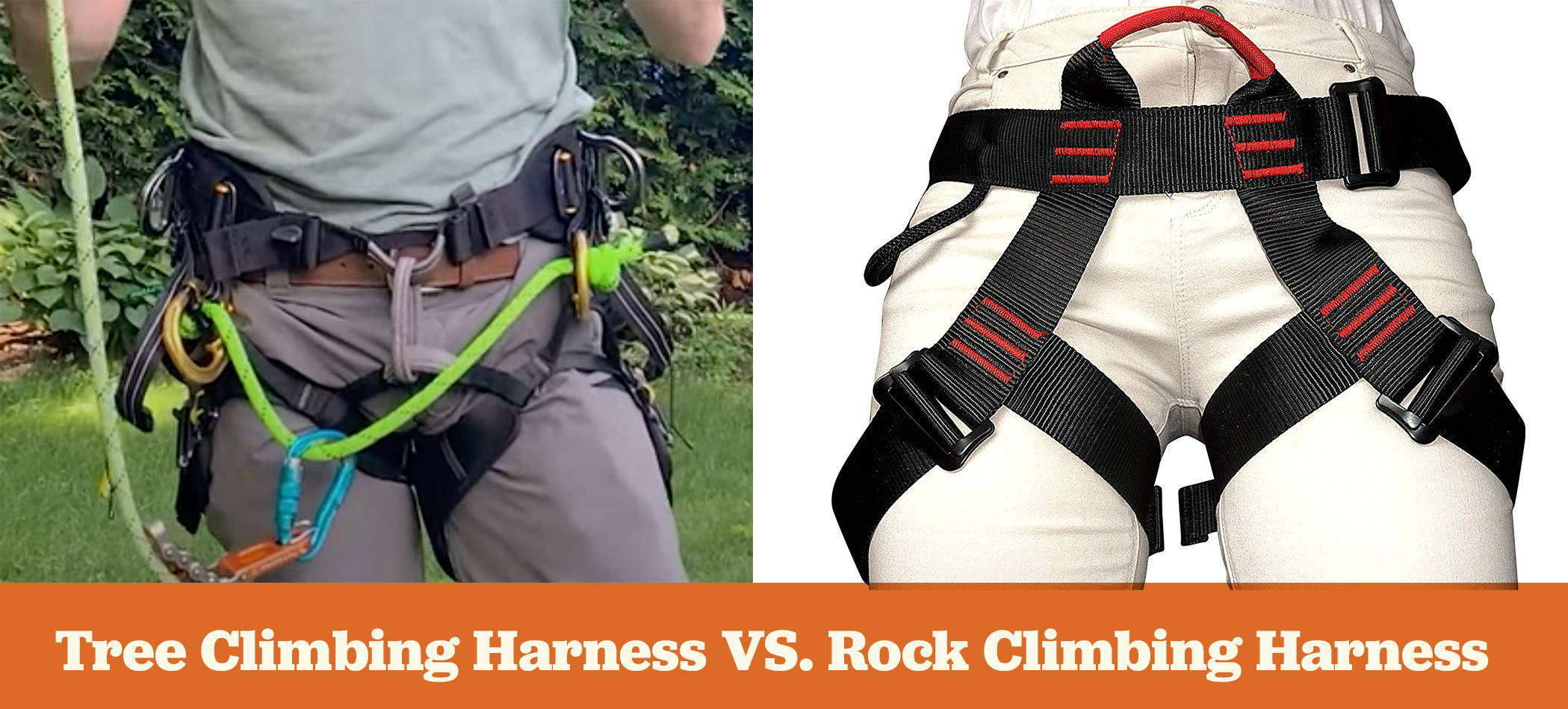 Arborist's Guide to the Best Tree Climbing Harness 