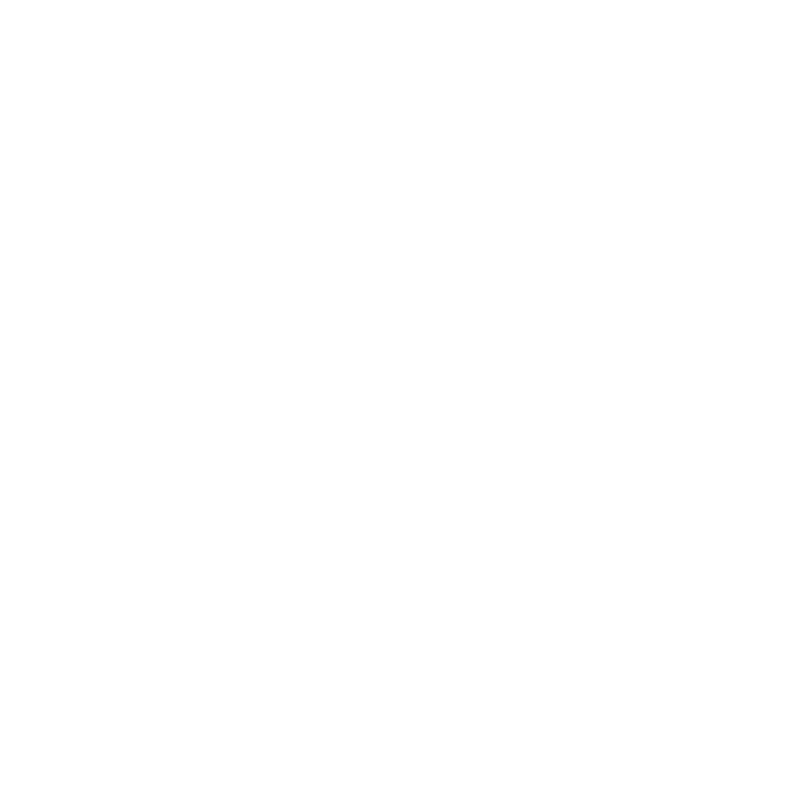 Fishman Pickups