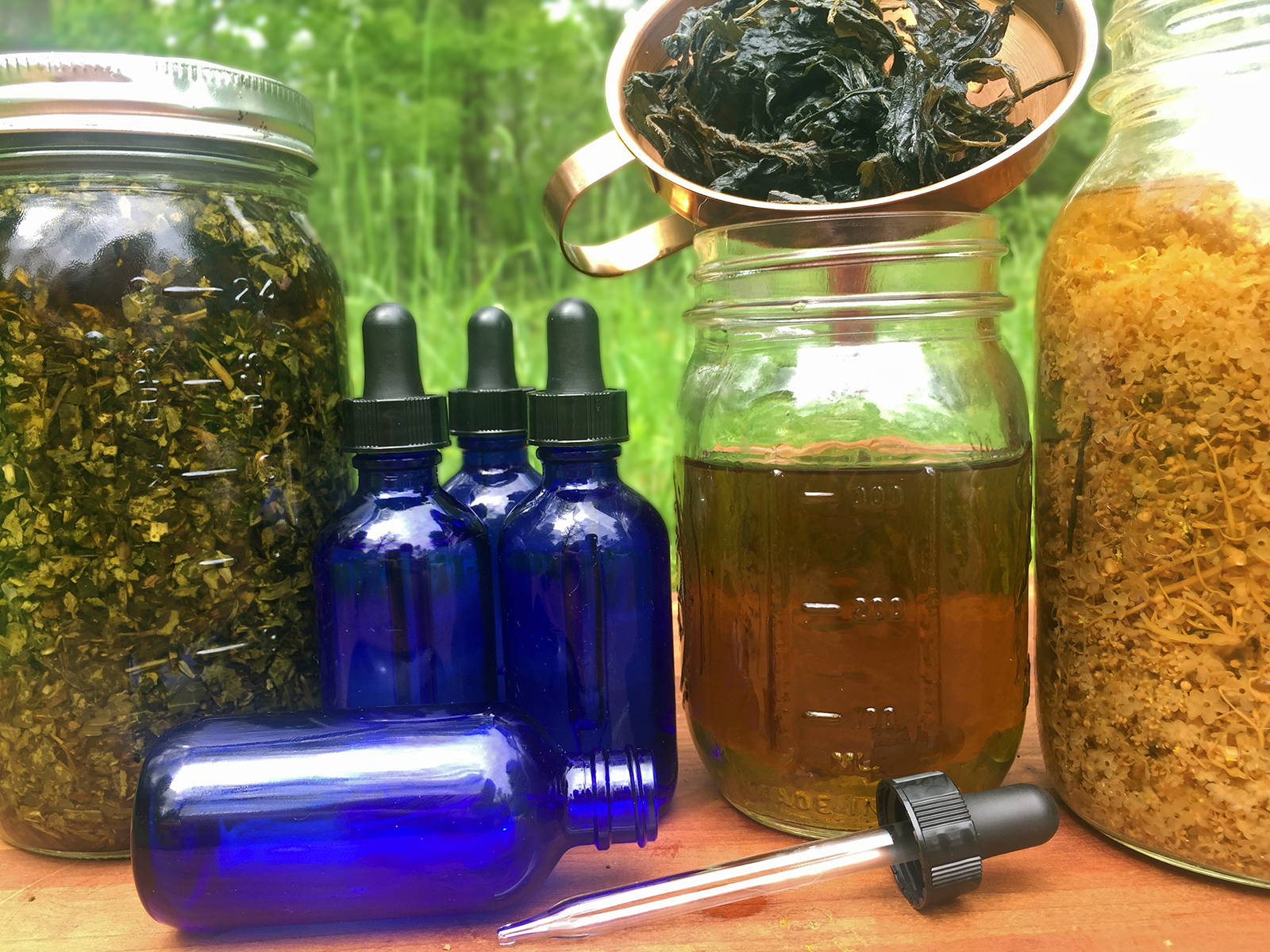 jars of tinctures and herbs