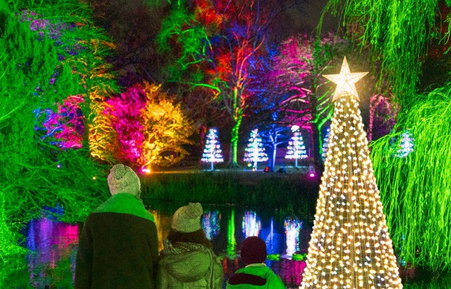 Family looking out over a pond  surrounded by Winter illuminations at the Royal Botanic Gardens.